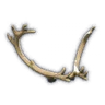 Reindeer Antlers