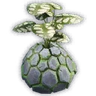 Gravelgourd Sprout