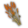 Wheat (Mutated)