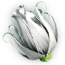 White Colorflower