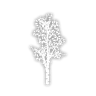 Birch Tree B