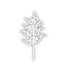 Birch Tree C