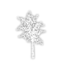 Birch Tree D