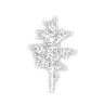 Birch Tree E