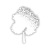 Maple Tree C