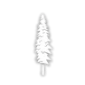 Spruce Tree B