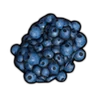 Berry