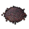 Cabbage Seed