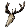 Deer Skull