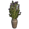 Clay Vase with Thistle