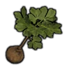 Majestic Tree Seedling