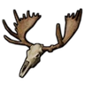Moose Skull
