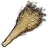Oat