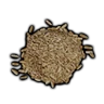 Oat Grain