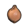 Onion