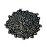 Onion Seed
