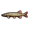 Pike