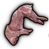 Rabbit Carcass