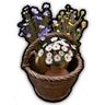 Radomila's Flower Collection