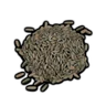 Rye Grain