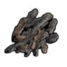 Spruce Bark