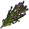 Thistle