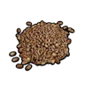 Wheat Grain