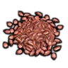 White Flowering Shrub Seed