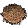 Wild Rose Bush Seed