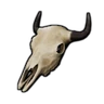 Wisent Skull