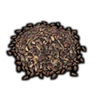 Yellow Flowering Shrub Seed