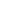 Hand of the King