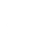 Treasure Hunter