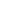 Water Dancer
