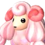 Woolipop