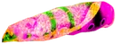Faleria butterfly larva