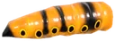 Fensea butterfly larva