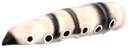 Penga butterfly larva