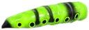 Chevrone butterfly larva