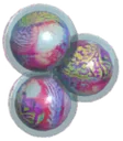Stabu fish eggs