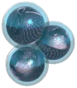 Khrom fish eggs