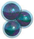 Ulani fish eggs