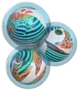 Aelera fish eggs