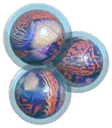 Ecaru fish eggs