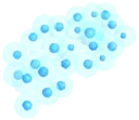 Seren frog eggs
