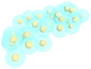 Felicianna frog eggs