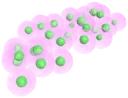 Aiolus frog eggs