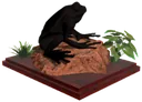 Frog displayer