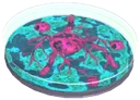 Mutagen