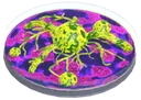 T2 Mutagen